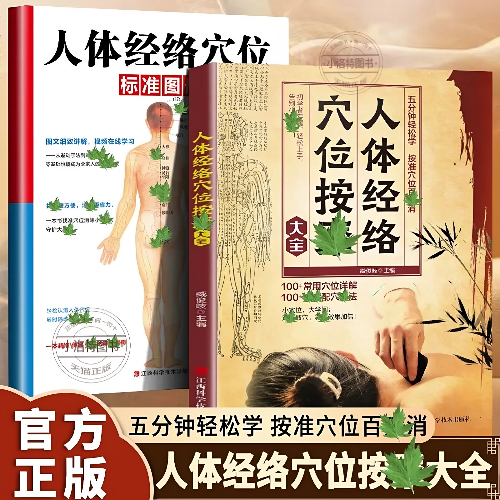 正版 全套2册人体经络穴位按摩大全+人体经络穴位标准图册 准确找经络穴位按摩家庭实用养生图解手法推拿按摩手册经络穴位图解书籍