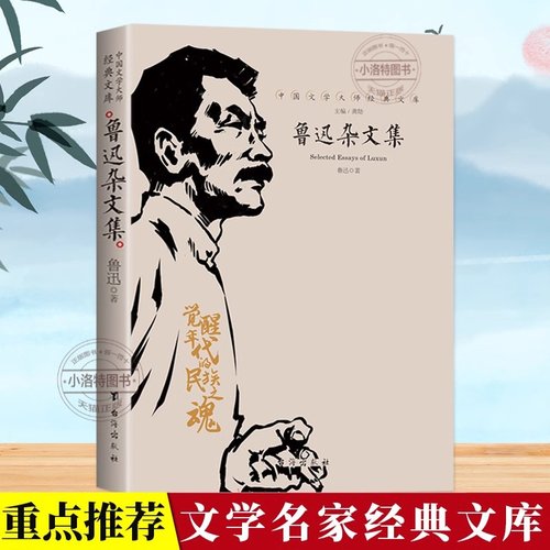 官方正版 鲁迅杂文集中国文学大师经典文库 含坟热风华盖鲁迅而已集南腔北调集伪自由书且介亭杂文等作品 高中生阅读书籍