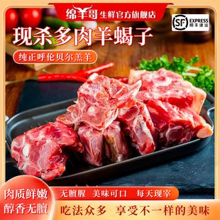 羊蝎子新鲜现杀带肉羊脊骨头呼伦贝尔羊肉生鲜5斤火锅食材商用