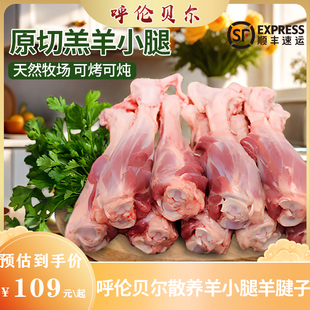 呼伦贝尔本地现杀羊小腿内蒙古羊腿小腿小羊腿整只原切羊腱子肉
