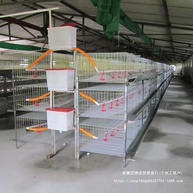 肉鸡笼养殖笼三层立体式肉鸡笼 自动清粪肉鸡笼 肉鸡养殖设备