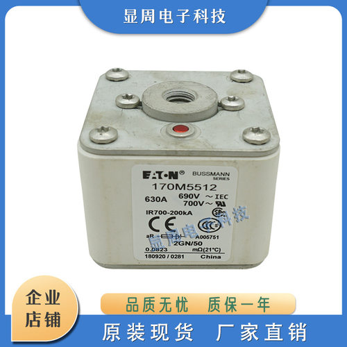 全新保险丝熔断器170M5536 170M5537 170M5538 170M5539 170M5540