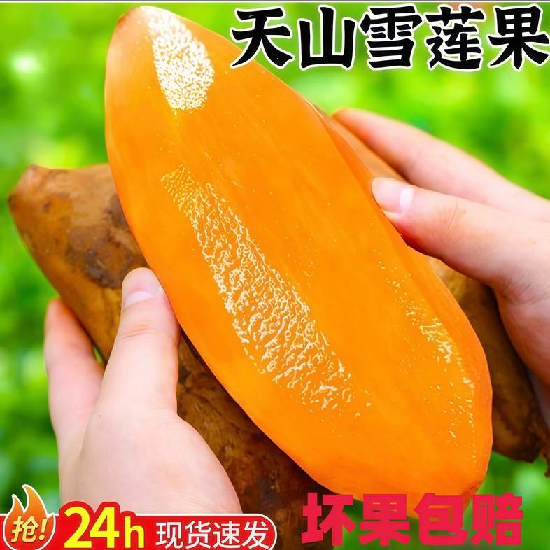 现货!云南天山雪莲果新鲜水果当季低糖黄心5斤大果脆甜整箱9