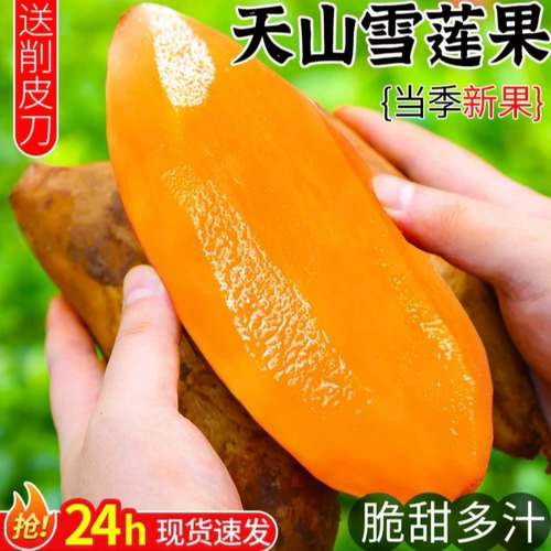 《精选雪莲果》现挖脆甜多汁