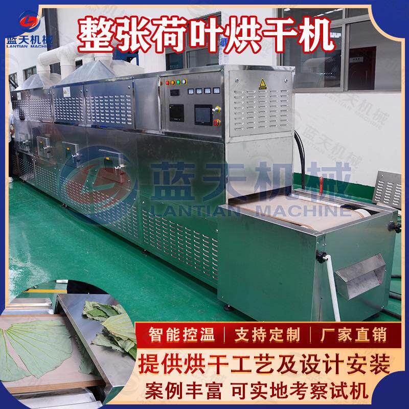 微波荷叶烘干机 隧道式整张荷叶莲叶快速烘干设备 莲藕叶烘干设备