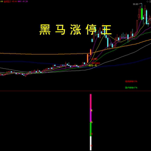 黑马涨停王预警决策抓板神器通达信指标炒股票低位伏击涨停板启动