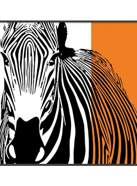 抽象橙色斑e马装饰画现代简约壁画客厅背景墙画餐厅挂画黑白艺术