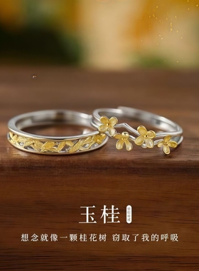 迟桂情侣对戒超好看独特漂亮戒指