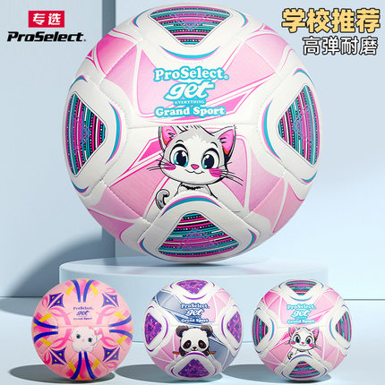 正品专选足球儿童小学生专用球中考足球4号训练5号专业比赛成人