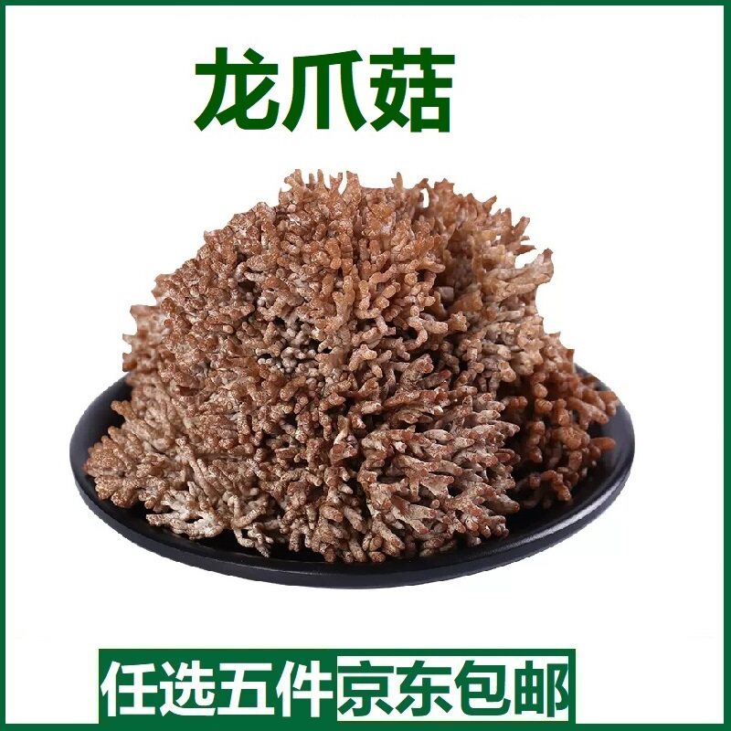 新鲜龙爪菇福建武夷山特产猫爪菇老鼠爪鸡爪菇珊瑚菇火锅特色食材