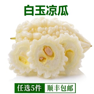 新鲜白玉苦瓜生吃不苦沙拉蔬菜食用迷你小凉瓜500g山东苹果苦瓜