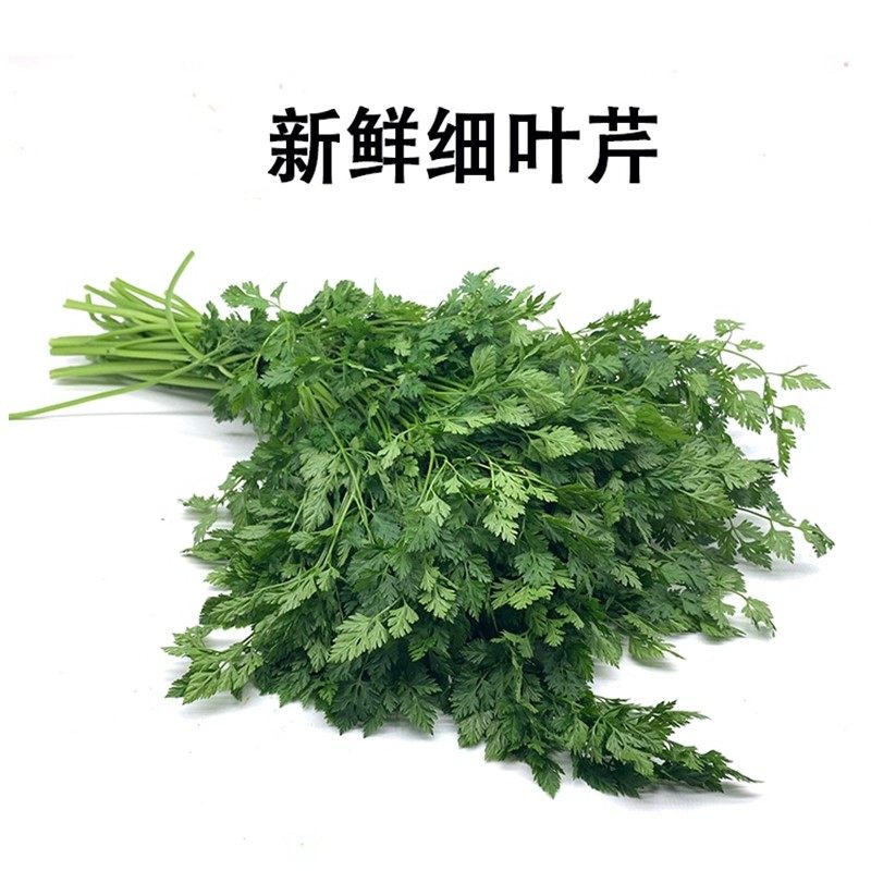 新鲜细叶芹西餐香料雪维菜 有喙欧芹 酒店西餐摆盘点缀约15g每盒