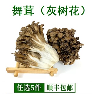 新鲜灰树花舞茸150g*3盒 食用菌灰树菇高山栗蘑菌菇 高山舞茸菌