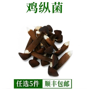 新鲜黑皮鸡枞菌500g 菌菇长根蘑菇荔枝菌鸡棕菇 煲汤食材食用菌类