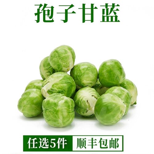 孢子甘蓝新鲜蔬菜西餐沙拉食材小包菜蔬菜沙拉卷心菜抱子甘蓝