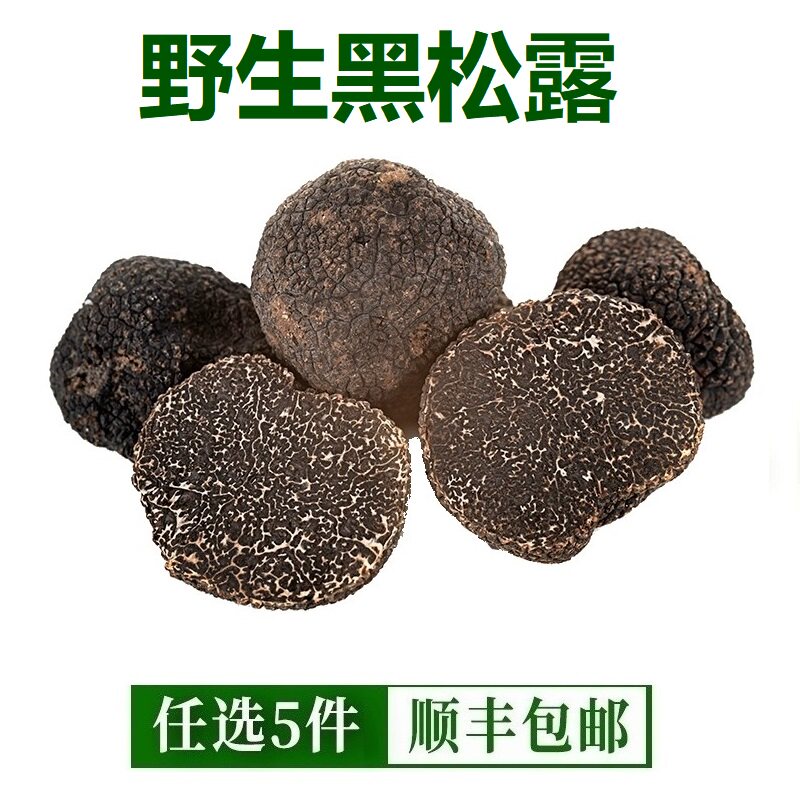 黑松露 云南新鲜野生猪拱菌 菌块 特产新鲜蘑菇 半斤以上顺丰包邮