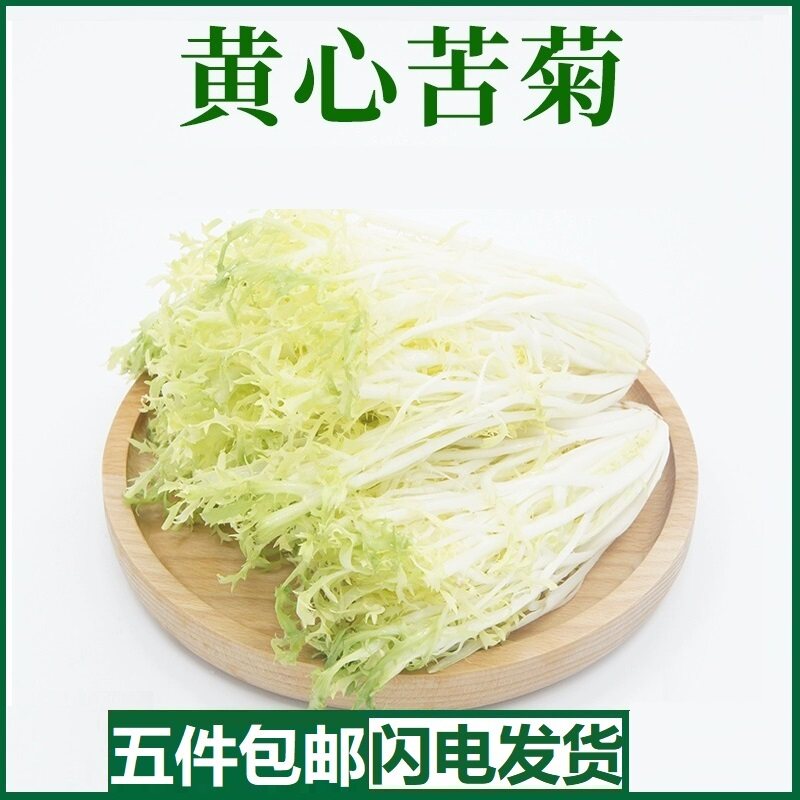 黄心苦菊新鲜蔬菜苦菊蔬菜沙拉西餐食材健身轻食蔬菜沙拉500g九芽