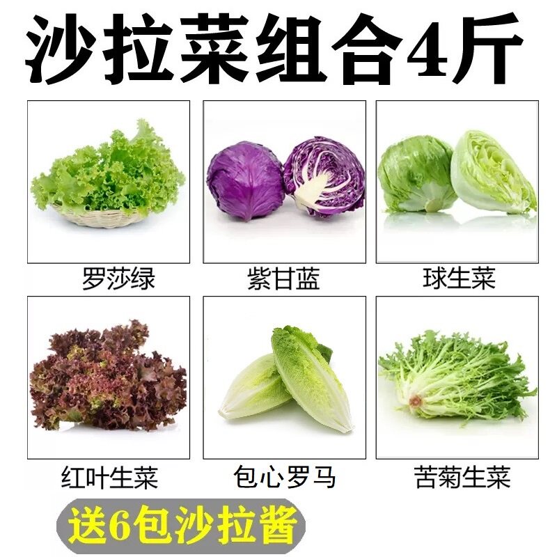 新鲜生菜组合4斤 混合沙拉菜生吃轻食套餐沙拉食材组合健身蔬菜包