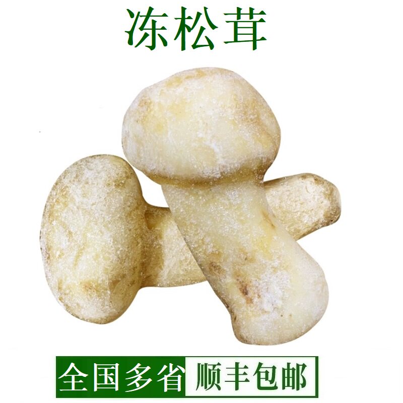 云南特产香格里拉速冻松茸冰冻新鲜松茸菌菇冰鲜松茸500g不带冰