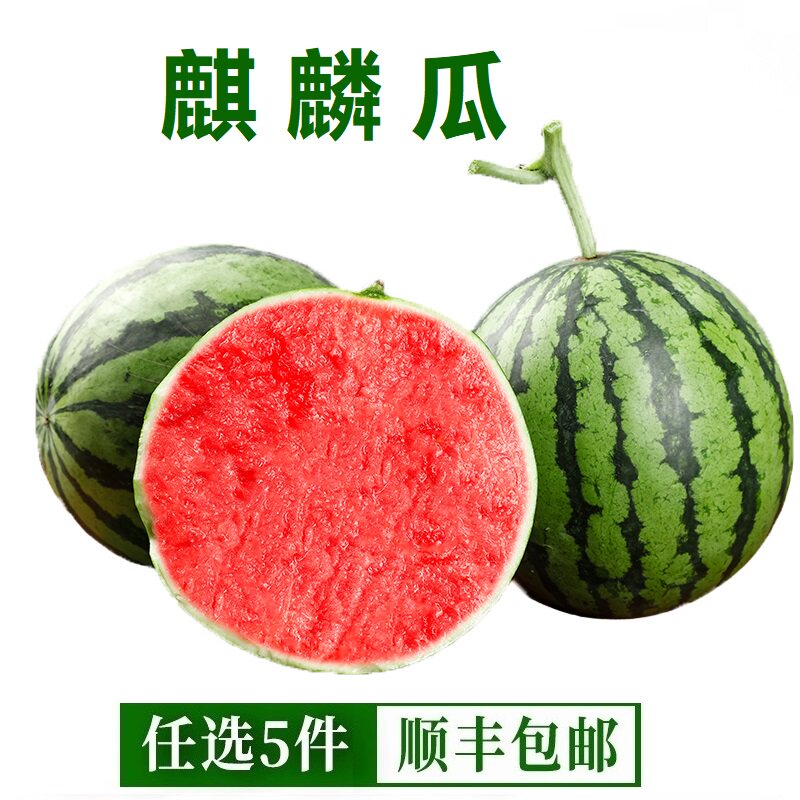 当季薄皮正宗美都麒麟西瓜现摘现发精品脆甜西瓜红瓤成熟新鲜现摘