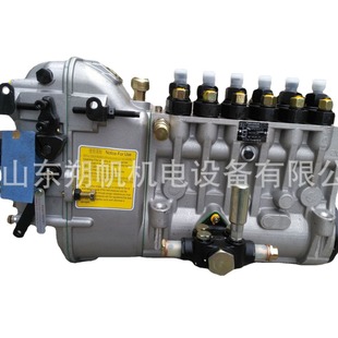 供应潍柴6200船用柴油机喷油泵XC62.08.11.1000 BP6075