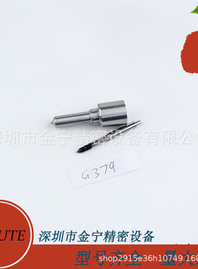 G379 H379配DELPI电控油嘴28229873 338004A710喷油器33800-4A711