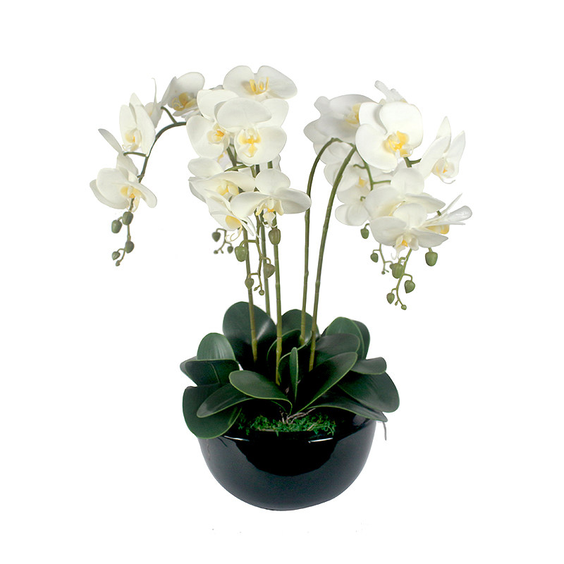 新中式蝴蝶兰假花仿真花客厅摆设塑料花茶室内装饰U小清新花卉套