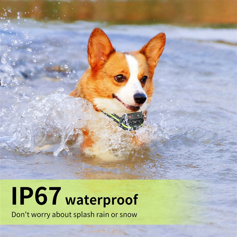 新款狗狗止吠器狗训练用品电子震动止吠器X项圈训狗器