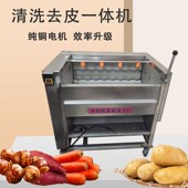 机猪蹄荸荠花生红枣毛脱生姜辊刷清洗头J去皮萝卜地瓜魔芋土豆莲