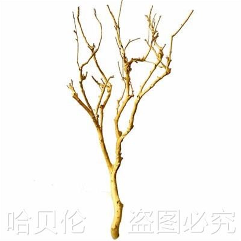 树枝干枝装饰家居橱窗隔断造型摆件插花实木小枝去皮W本色灯具枯