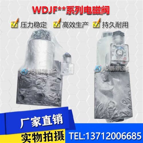 WOOUDE 压滤机卸荷阀WDJF-SB5-10B-DY2/CW220RNZ5LX  电磁换向阀