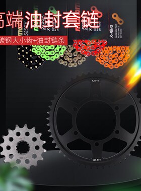 适用于凯旋Triumph老虎Tixger800改装大小齿链轮油封链条套链配件