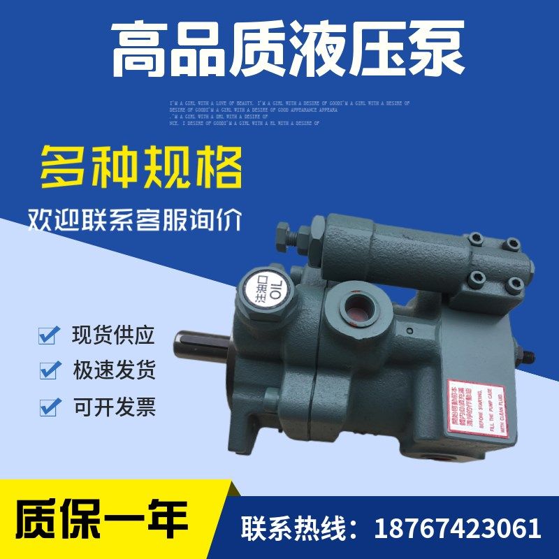 台湾柱塞泵P46-A0-F-R-01液压D打包机油泵P46-A1-F-R-01,标准件/零部件/工业耗材,液压泵,淘宝优惠券,粉丝福利购,淘宝优惠卷