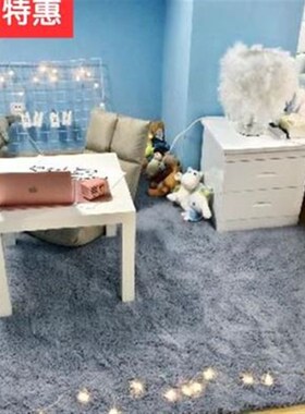 加厚加绒地垫家m用卧室女房间装饰可G爱灰色试衣镜地毯垫子床边毛