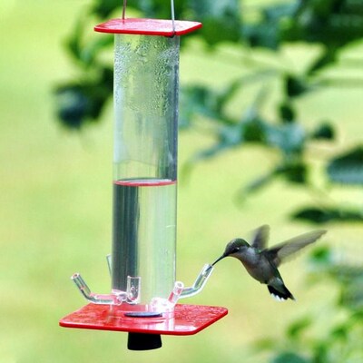 Tube Hummingbird Feeder Hanging DWild Bird Feeder Bright Tra