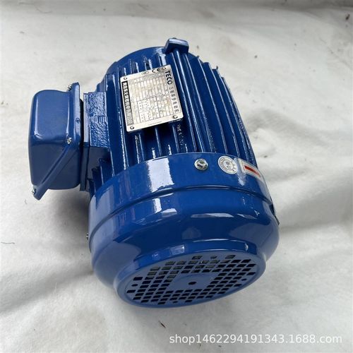 厂家直发电机TEF3 90tL-2  AEMB3N 3HP 2P厂家