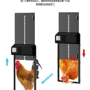 高性能铝合c金定时鸡门 防水 自动开关智能防夹适用于鸡舍及宠物