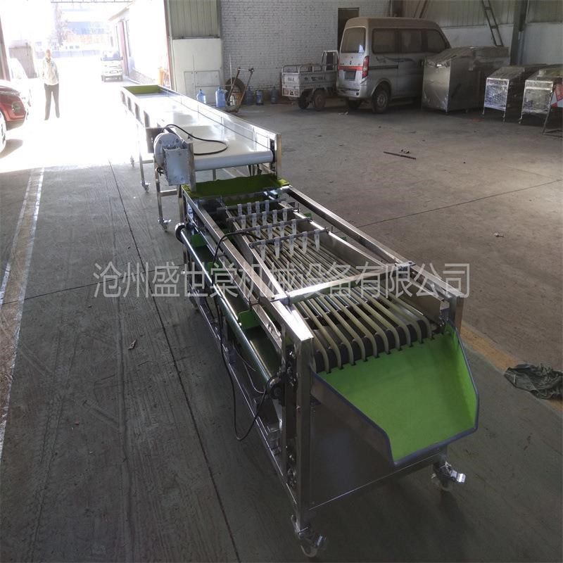 紫红色鸡蛋果鸡蛋果选果机u 商用小型水果分果机 分级规格可选,机械设备,试验机,淘宝优惠券,粉丝福利购,淘宝优惠卷