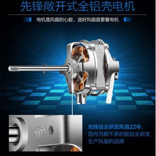 先锋电风扇DD1707 17D摇头落H地扇大风力智能10风叶家用静音 FS40