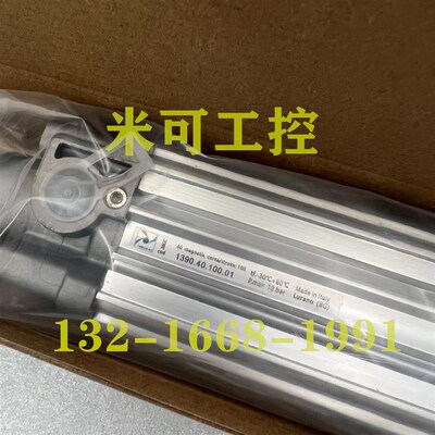PNEUMAXd纽迈司气缸1391.1392.1390.32.40/50.60.80/100/125/200
