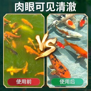 鱼池除藻粉d去除绿水褐藻丝藻黑藻绿藻青苔专用不伤鱼浓缩绿色鱼