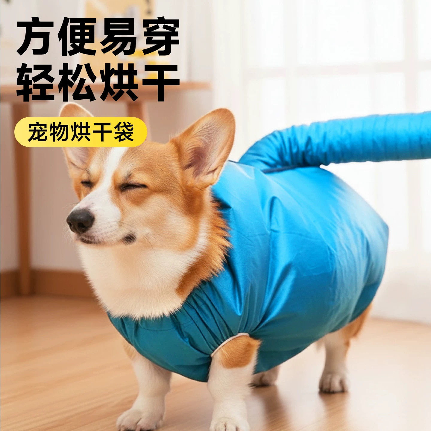 宠物烘干袋洗澡箱中小型狗