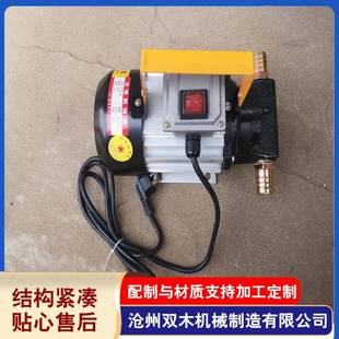 厂家供应小型手提式 40750w 机油齿轮泵交流抽油泵220VYTB