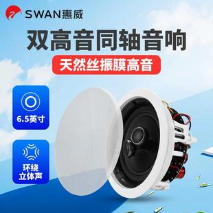 Hivi SC定阻同轴吸顶喇叭双高音VX系列天花音响5 VR6 8寸 惠威