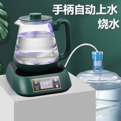 现货速发桶装水自动抽水器饮水桶可加热矿泉纯净大桶水吸水压水泵