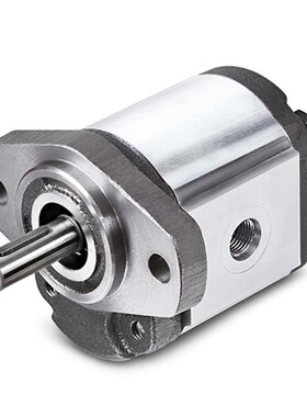 台湾齿轮泵 P211RP01DT,P214RP01DT,P216RP01DT 液压齿轮泵