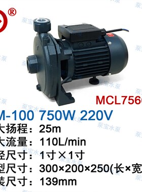 木川CM-50冷水机循环泵220V 100 180水泵CM-63 71清水泵MCL756658