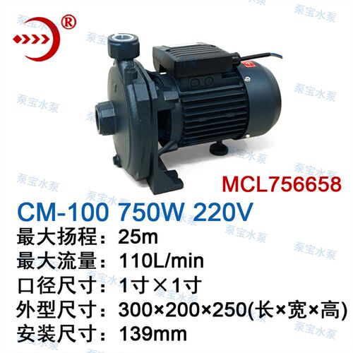 木川CM-50冷水机循环泵220V 100 180水泵CM-63 71清水泵MCL756658