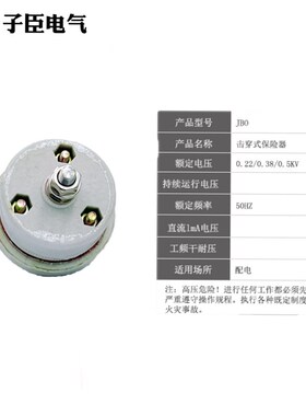 低压避雷器击穿式保险器JBO-220V 380V 500V陶瓷击穿保险直销现货