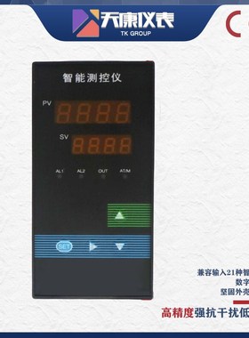 WP-LEQT3-C6E1 /WP-C403-0J0-12-N 单屏智能数显仪表